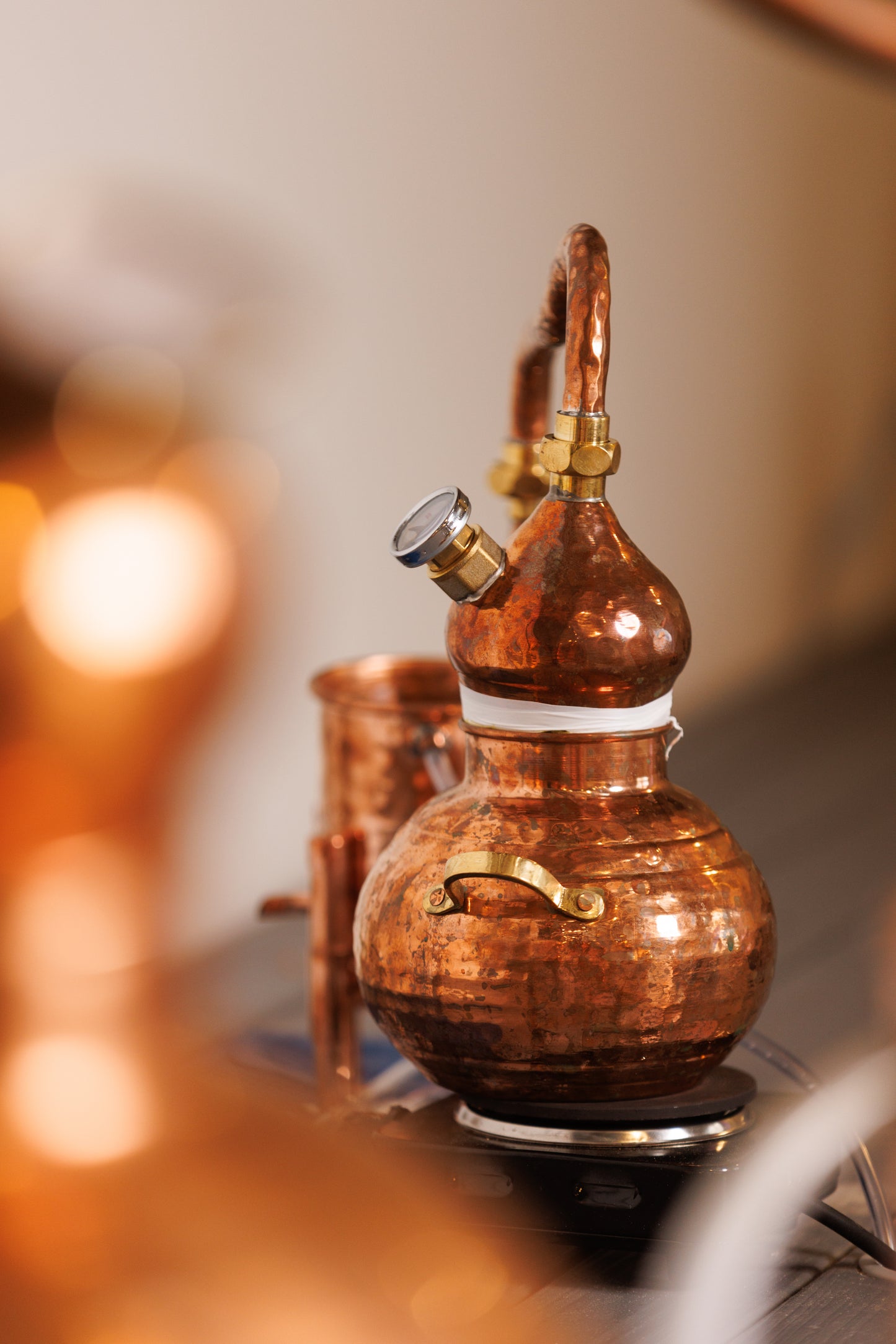 Gin Making Class